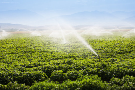 田間灌溉|  圖片來(lái)源：?TheFotos / stock.adobe.com